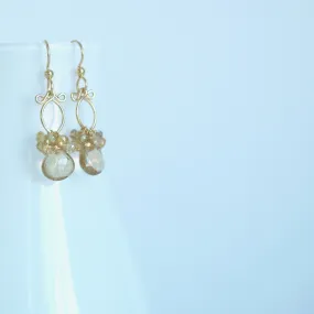 Lana Earrings - Smokey Quartz, Zircons 14k Gold Filled Earrings