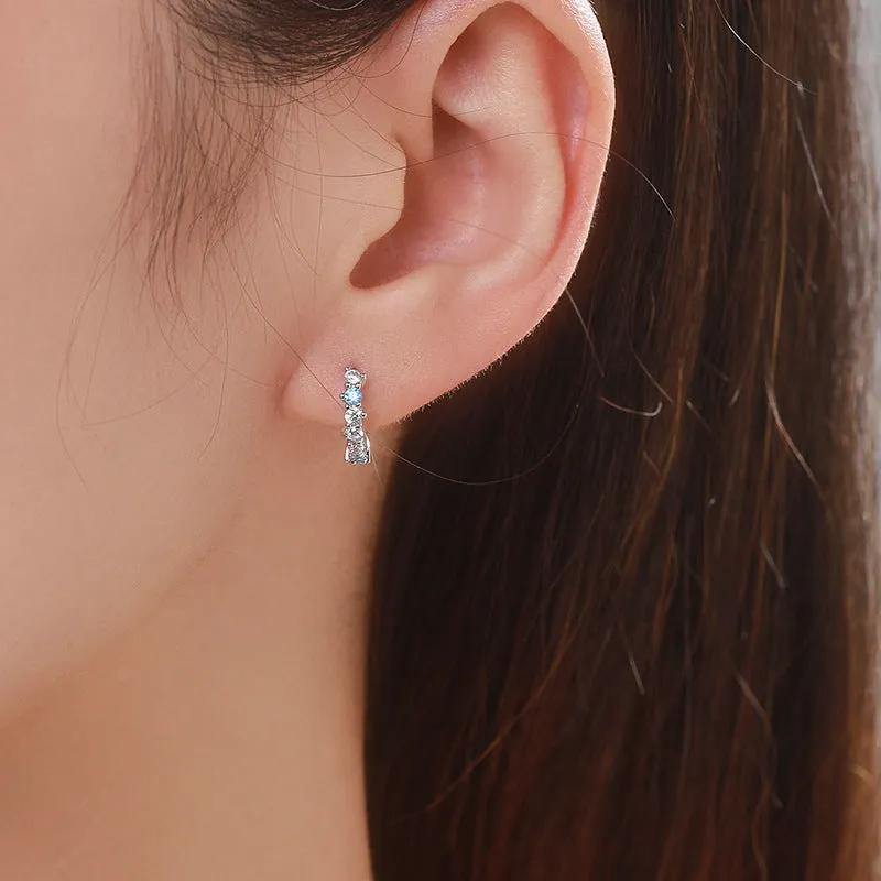 Niche Design Sterling Silver Zircon Earrings