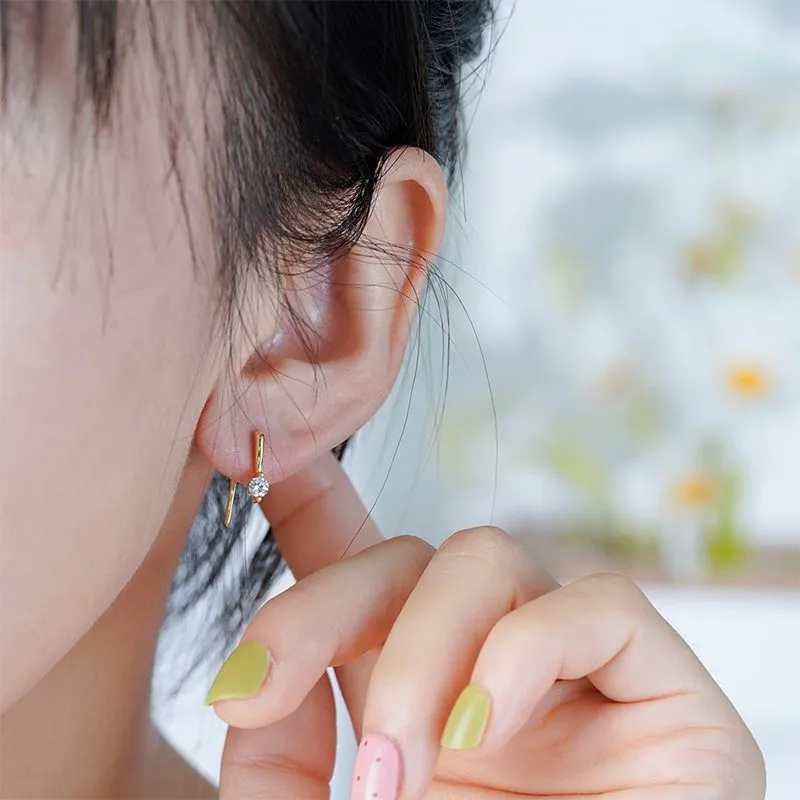 Round Zircon Silver Hook Earrings