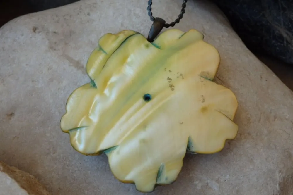Seashell pendant necklace.