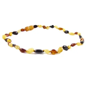 The Amber Monkey - Multi Bean 12-13"
